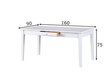 Pusdienu galds Westerland 160 x 90 cm cena un informācija | Virtuves galdi, ēdamgaldi | 220.lv