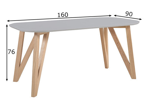 Pusdienu galds 160x90 cm cena un informācija | Virtuves galdi, ēdamgaldi | 220.lv