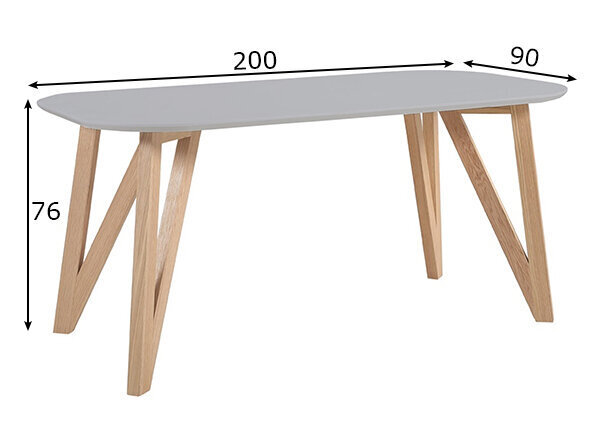 Pusdienu galds 200x90 cm cena un informācija | Virtuves galdi, ēdamgaldi | 220.lv