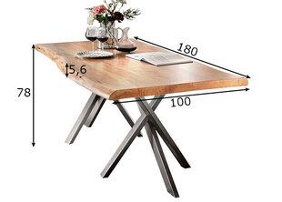 Pusdienu galds Tische 180x100 cm, antīks sudrabs/brūns cena un informācija | Virtuves galdi, ēdamgaldi | 220.lv