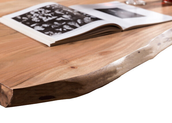 Pusdienu galds Tische 200x100 cm, antīks sudrabs/brūns cena un informācija | Virtuves galdi, ēdamgaldi | 220.lv