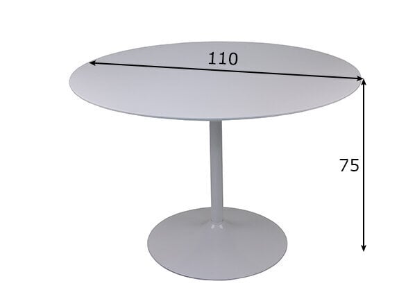 Pusdienu galds cena un informācija | Virtuves galdi, ēdamgaldi | 220.lv