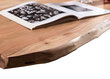 Pusdienu galds Tische 220x100, akācijas koks, antīks sudrabs cena un informācija | Virtuves galdi, ēdamgaldi | 220.lv