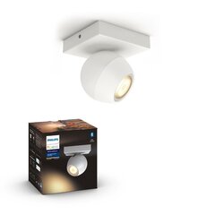 Philips Hue - BUCKRAM single spot white 1x5.5W 230V - White Ambiance - Bluetooth Without Dimmer цена и информация | Лампочки | 220.lv