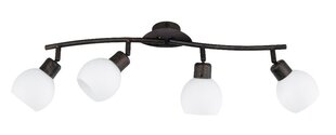 LED punktveida gaismeklis Freddy, četrdaļīgs, E14, rustikālā stilā cena un informācija | Griestu lampas | 220.lv