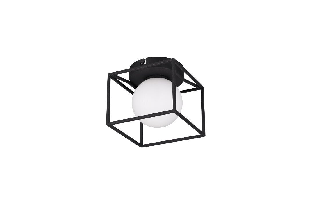 Sienas lampa Gabbia, G9, matētā melnā krāsā cena un informācija | Sienas lampas | 220.lv