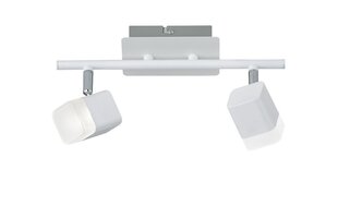 Trio светодиодный потолочный светильник Roubaix цена и информация | Потолочный светильник | 220.lv