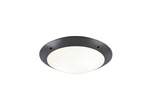 Griestu lampa Camaro, 33 cm, 2 x E27, antracīta krāsā cena un informācija | Āra apgaismojums | 220.lv