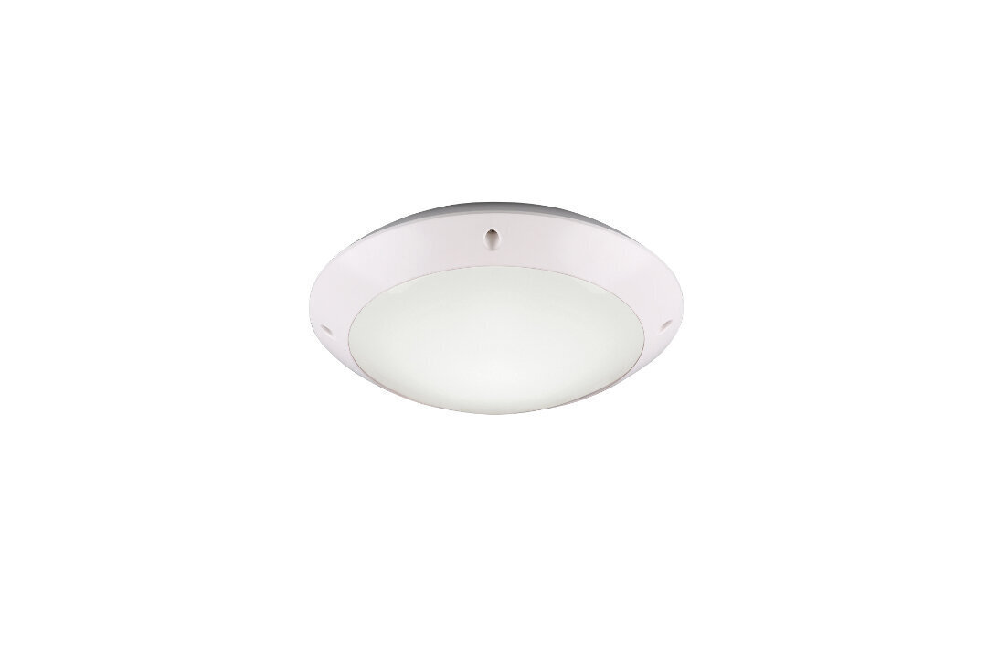 Griestu lampa Camaro, 26 cm, E27, matētā baltā krāsā cena un informācija | Āra apgaismojums | 220.lv