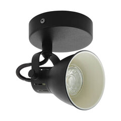 Eglo потолочный светильник Seras цена и информация | Потолочные светильники | 220.lv