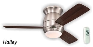Griestu ventilators HALLEY Ø122 cm ar pulti, niķelis cena un informācija | Griestu lampas-ventilatori | 220.lv