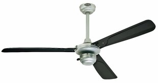 Griestu ventilators MOUNTAIN GALE Ø132 cm IP44, sudrabotā krāsā cena un informācija | Griestu lampas-ventilatori | 220.lv