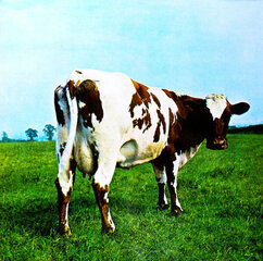 Pink Floyd - Atom Heart Mother, LP, vinila plate, 12&quot; vinyl record cena un informācija | Vinila plates, CD, DVD | 220.lv