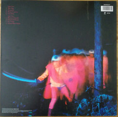 Black Sabbath - Paranoid, LP, vinila plate, 12&quot; vinyl record cena un informācija | Vinila plates, CD, DVD | 220.lv