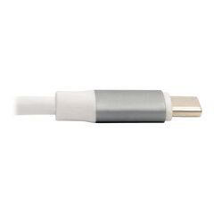 Tripp Lite USB-C Dock U442-DOCK10-S Single Display cena un informācija | Adapteri un USB centrmezgli | 220.lv