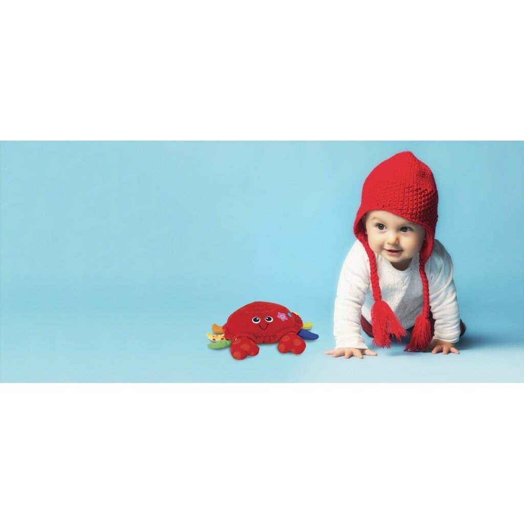 WinFun Kustīgais krabis ar skaņu, trīcošs cena un informācija | Rotaļlietas zīdaiņiem | 220.lv