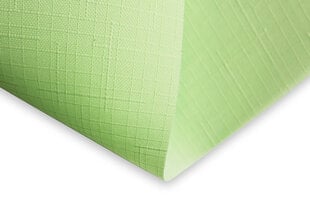 Настенный/потолочный ролет 210x170 см, 2073 Зеленый цена и информация | Рулонные шторы | 220.lv