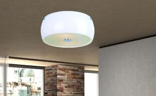 Griestu lampa ar stikla abažūru G.LUX GZ-144/2 цена и информация | Потолочные светильники | 220.lv