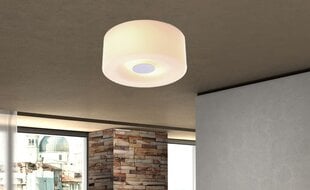 Griestu lampa ar stikla abažūru G.LUX GZ-035/2 цена и информация | Потолочные светильники | 220.lv