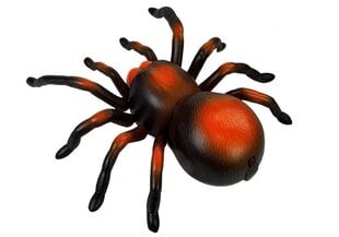 Огромный паук, дистанционно управляется ПДУ, черно-оранжевый цена и информация | Игрушки для мальчиков | 220.lv