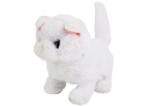 Белый котенок цена и информация | Мягкие игрушки | 220.lv