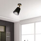 Emibig lampa Atlas 1 Black cena un informācija | Griestu lampas | 220.lv