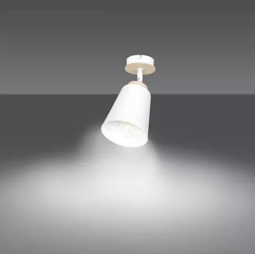 Emibig lampa Atlas 1 White cena un informācija | Griestu lampas | 220.lv