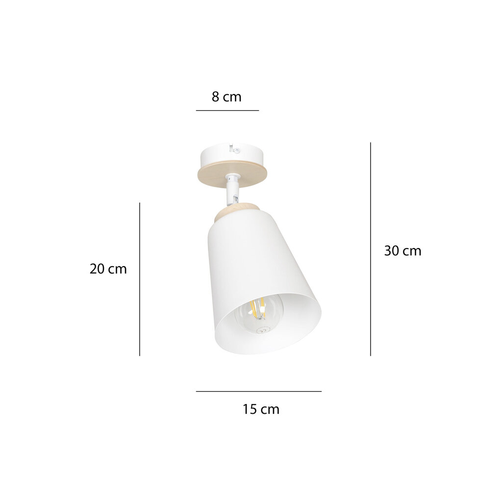 Emibig lampa Atlas 1 White cena un informācija | Griestu lampas | 220.lv