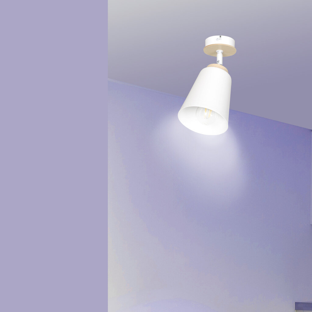 Emibig lampa Atlas 1 White cena un informācija | Griestu lampas | 220.lv