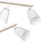 Emibig lampa Atlas 2 White цена и информация | Griestu lampas | 220.lv