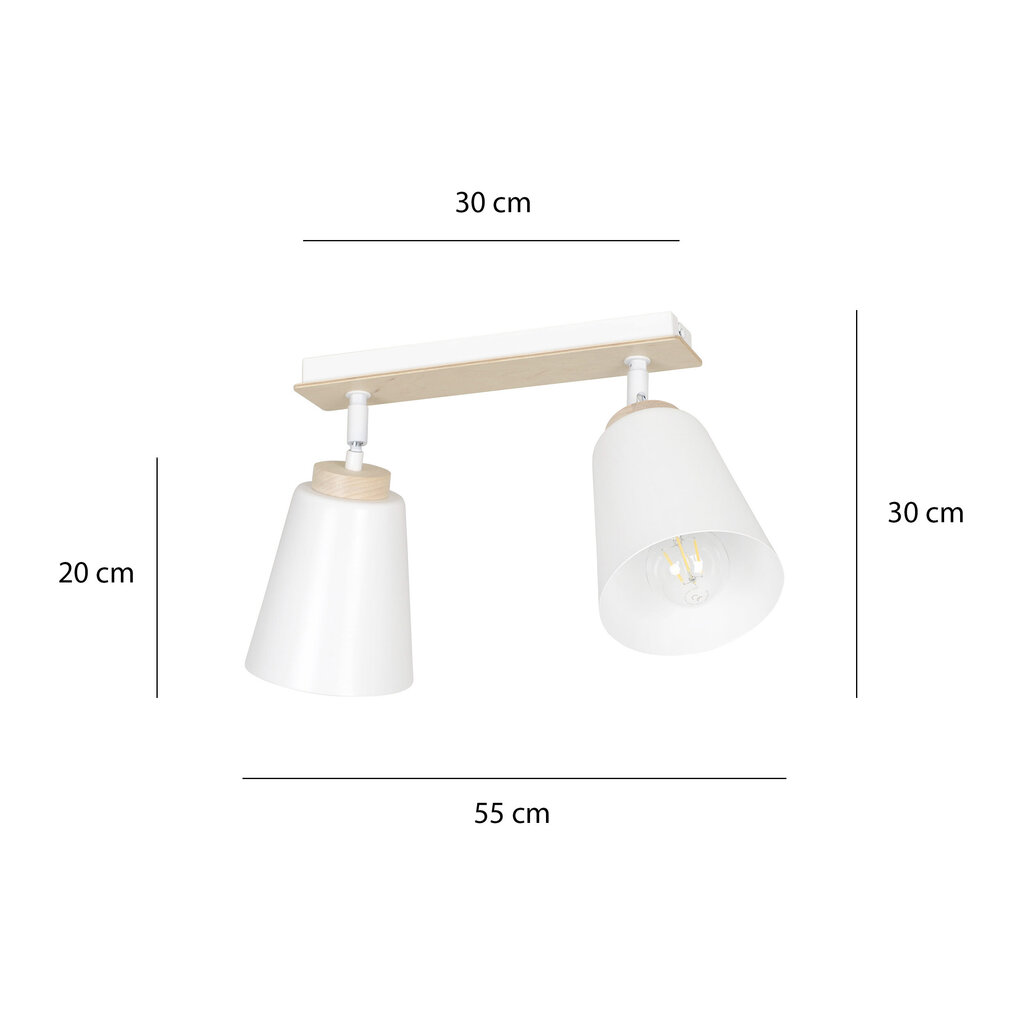 Emibig lampa Atlas 2 White цена и информация | Griestu lampas | 220.lv