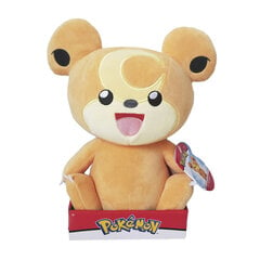 JAZWARES POKEMON Pliušinis Pokemonas, 25 cm cena un informācija | Mīkstās (plīša) rotaļlietas | 220.lv