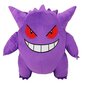 JAZWARES POKEMON Pliušinis Pokemonas, 25 cm цена и информация | Mīkstās (plīša) rotaļlietas | 220.lv