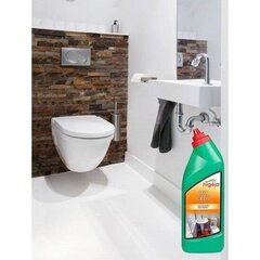 Higea WC tīrītājs - gēls, 700 ml cena un informācija | Tīrīšanas līdzekļi | 220.lv