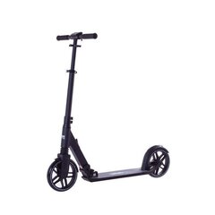 Rideoo 200 City / Black цена и информация | Самокаты | 220.lv