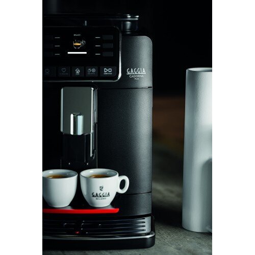 Gaggia Cadorna Plus RI9601/01 cena un informācija | Kafijas automāti | 220.lv