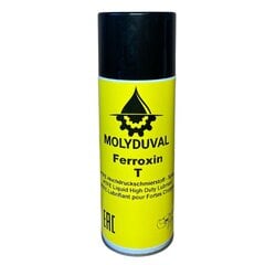 MOLYDUVAL - Ferroxin T Spray - Plaša pielietojuma aerosols ar PTFE cena un informācija | Rokas instrumenti | 220.lv