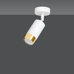 Emibig griestu lampa Hiro 1 White-Gold cena un informācija | Griestu lampas | 220.lv