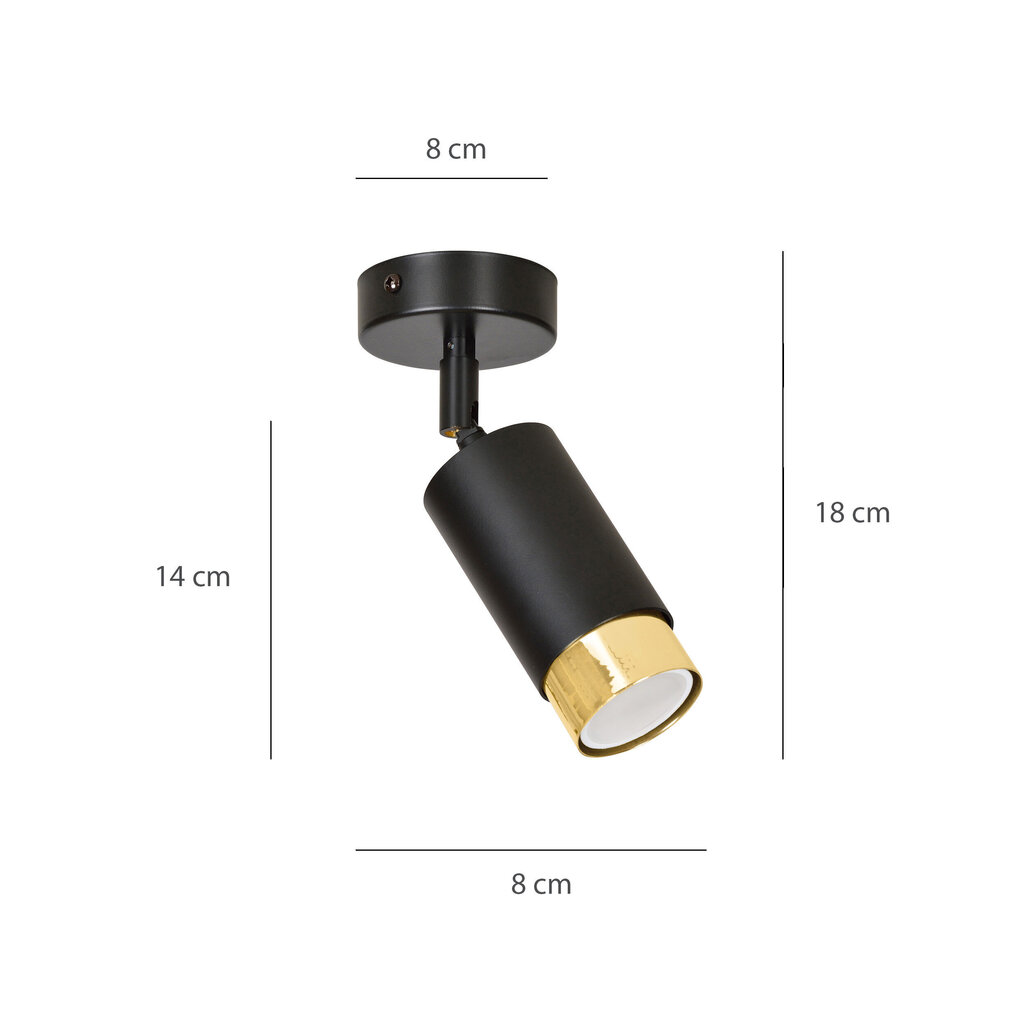 Emibig griestu lampa Hiro 1 Black-Gold цена и информация | Griestu lampas | 220.lv