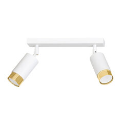 Emibig потолочный светильник Hiro 2 White-Gold цена и информация | Потолочные светильники | 220.lv