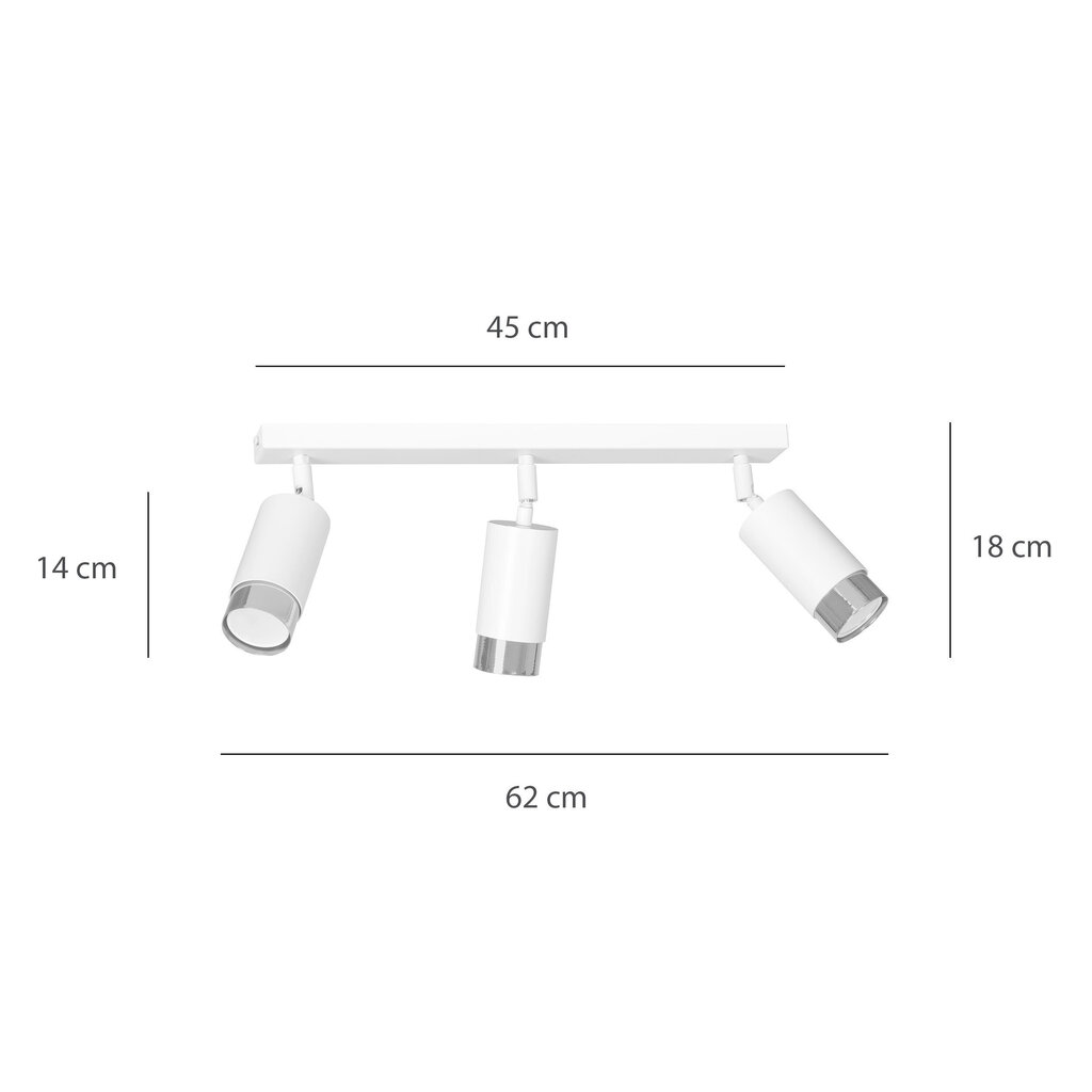 Emibig griestu lampa Hiro 3 White-Chrome cena un informācija | Griestu lampas | 220.lv