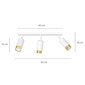Emibig griestu lampa Hiro 3 White-Gold цена и информация | Griestu lampas | 220.lv