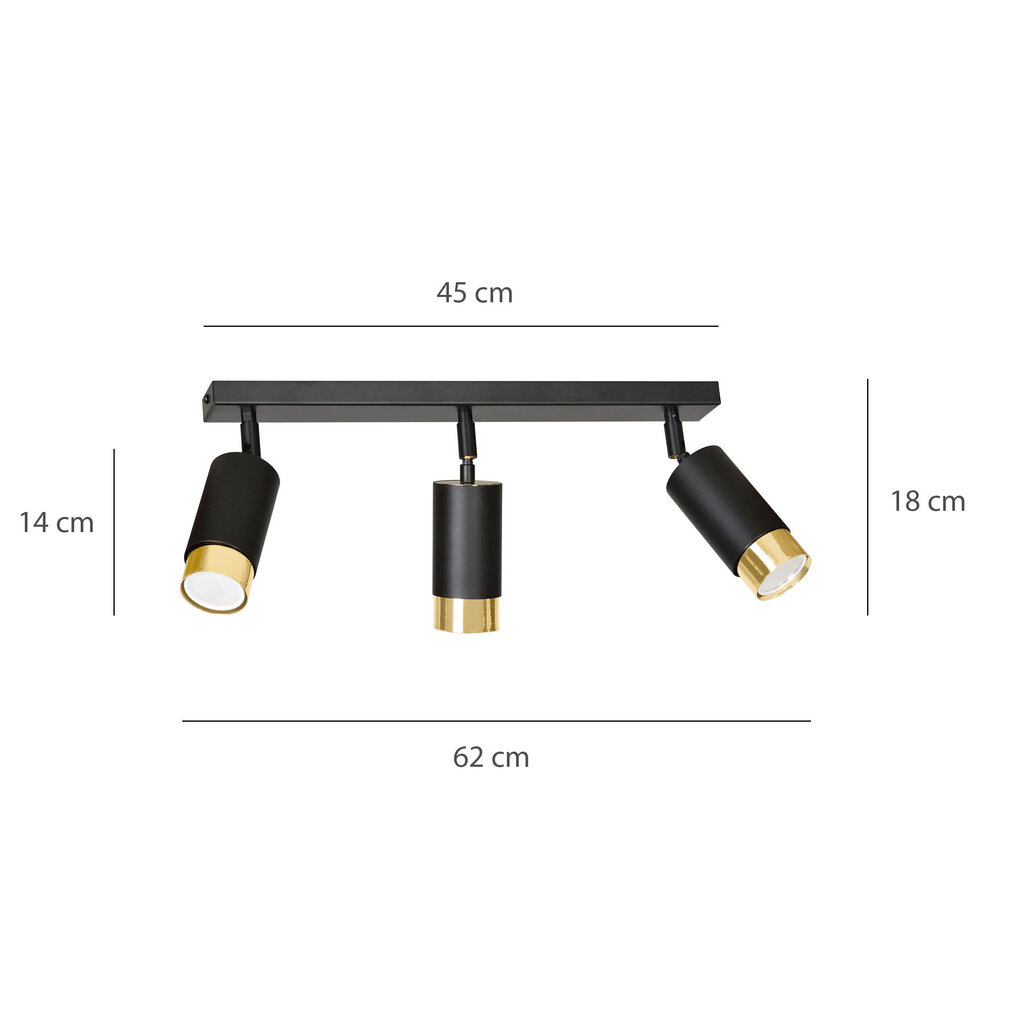 Emibig griestu lampa Hiro 3 Black-Gold cena un informācija | Griestu lampas | 220.lv