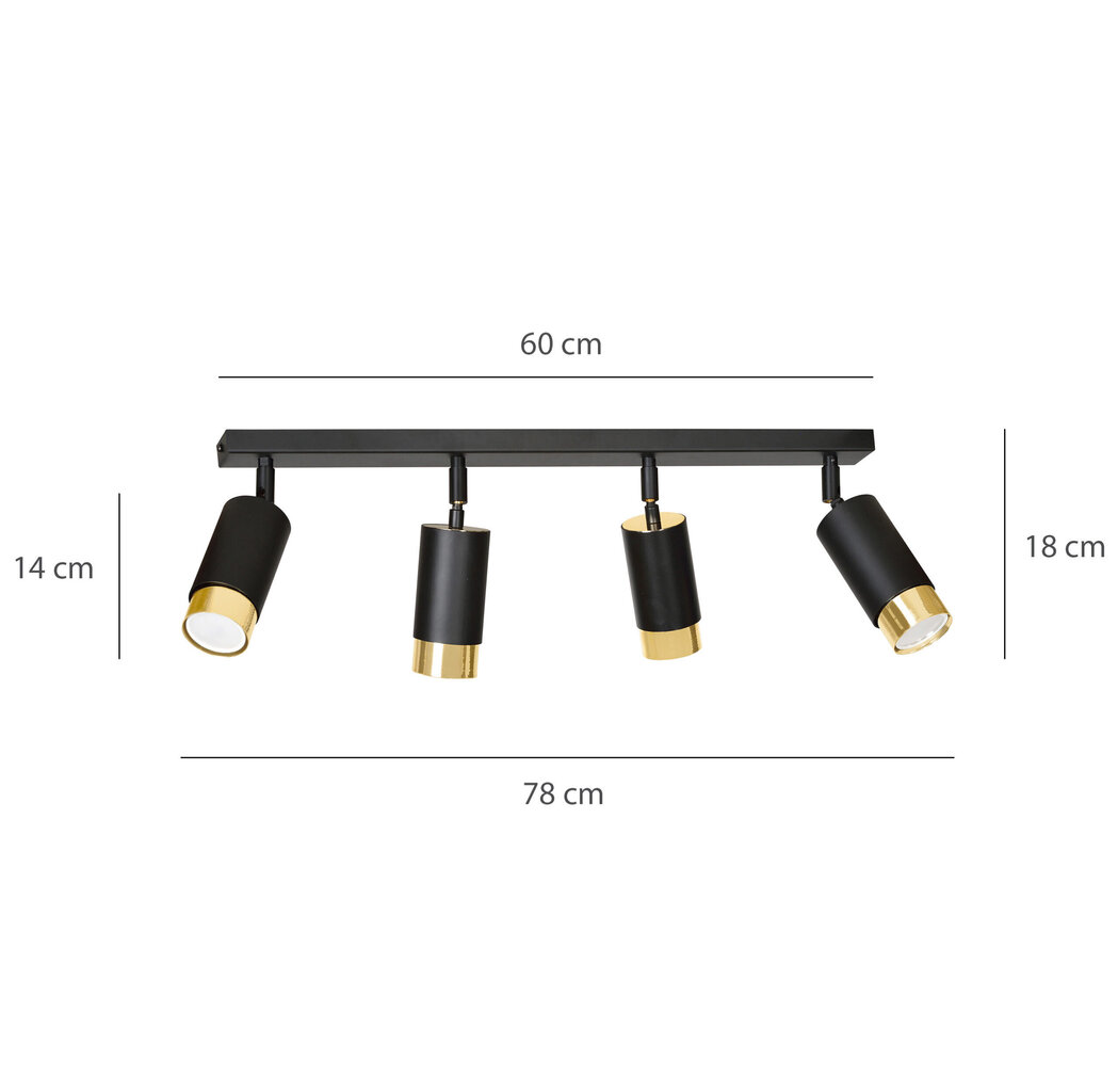 Emibig griestu lampa Hiro 4 Black-Gold cena un informācija | Griestu lampas | 220.lv