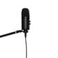 Divu kondensatoru USB mikrofons Stagg SUSM60D cena un informācija | Mikrofoni | 220.lv