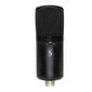 Divu kondensatoru USB mikrofons Stagg SUSM60D cena un informācija | Mikrofoni | 220.lv