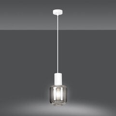 Emibig piekaramā lampa Ingvar 1 White цена и информация | Люстры | 220.lv