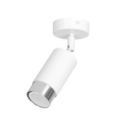 Emibig griestu lampa Hiro 1 White-Chrome cena un informācija | Griestu lampas | 220.lv