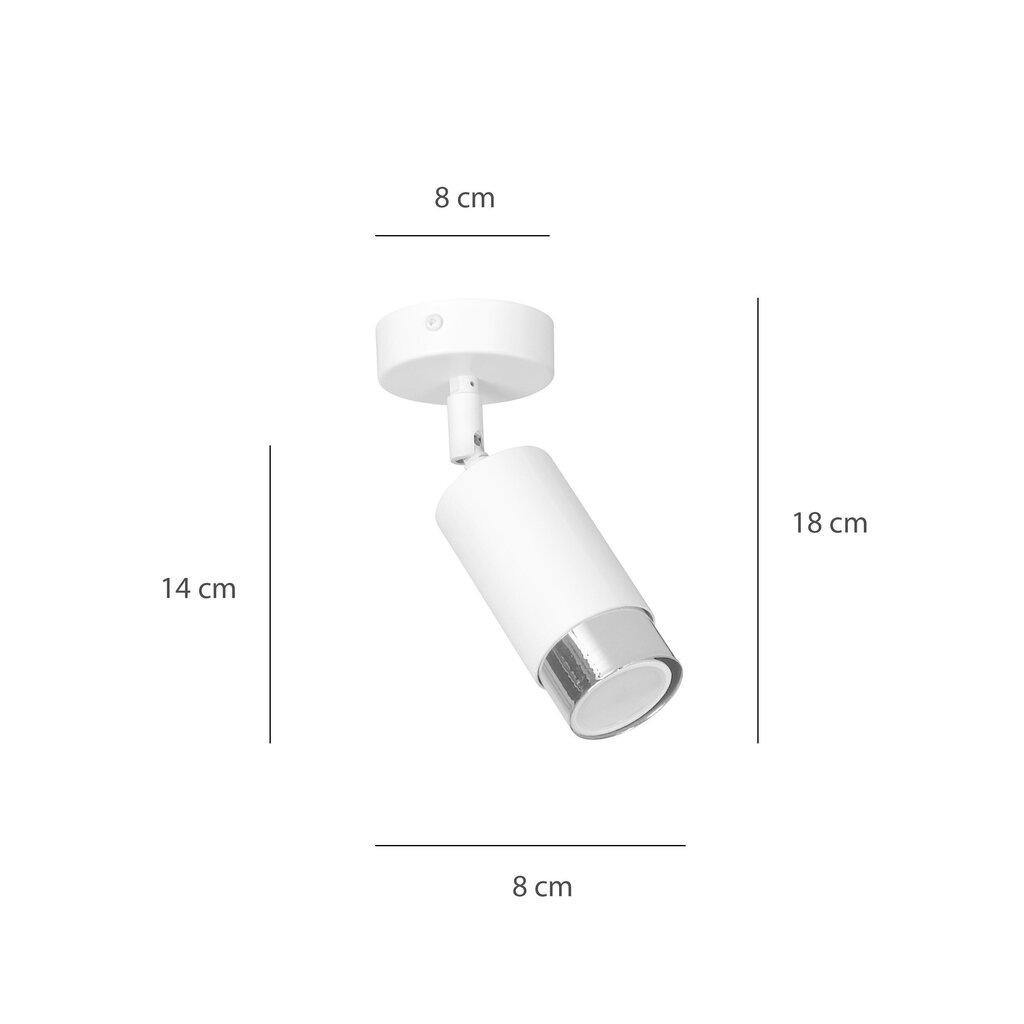 Emibig griestu lampa Hiro 1 White-Chrome cena un informācija | Griestu lampas | 220.lv