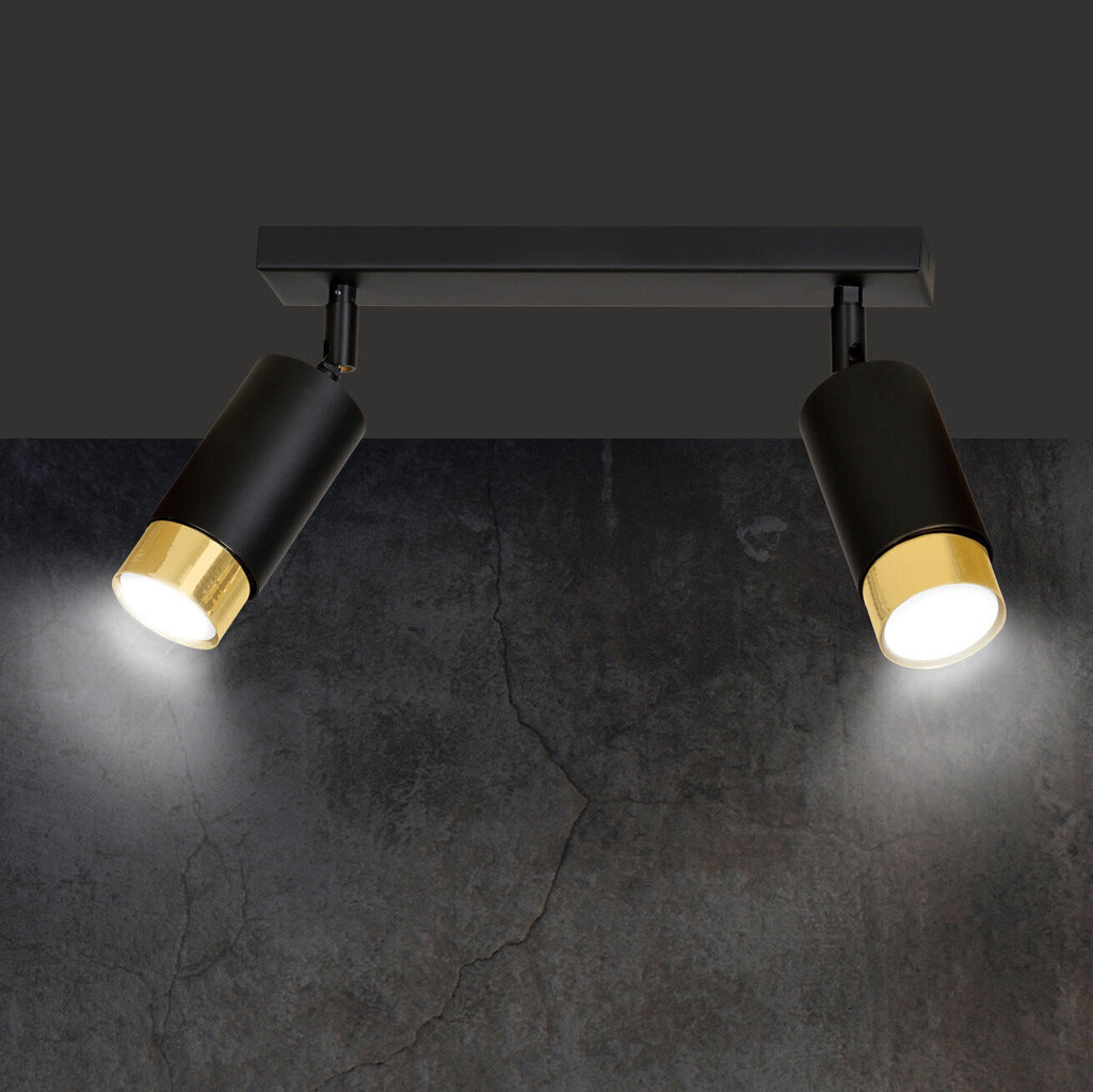 Emibig griestu lampa Hiro 2 Black-Gold cena un informācija | Griestu lampas | 220.lv